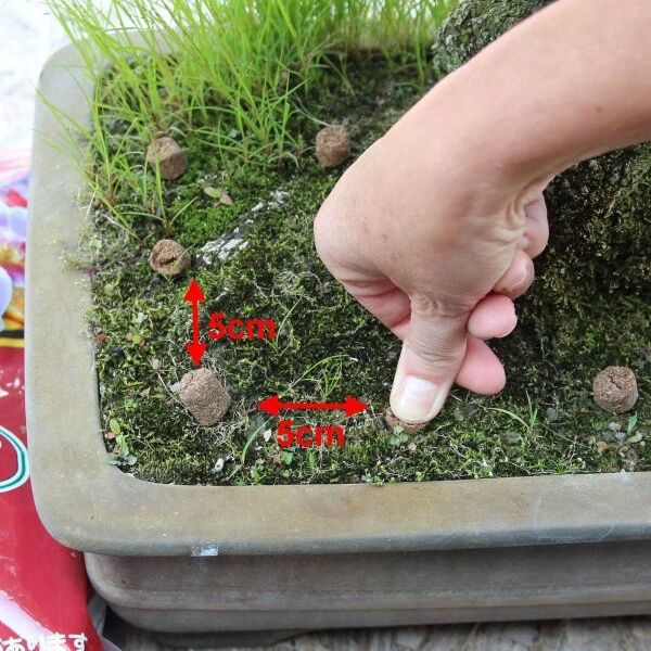 Hanagokoro Bonsai Dünger 3.0kg – Bild 3