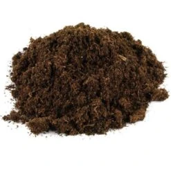 Mykorrhiza Spezial Birke, 250ml